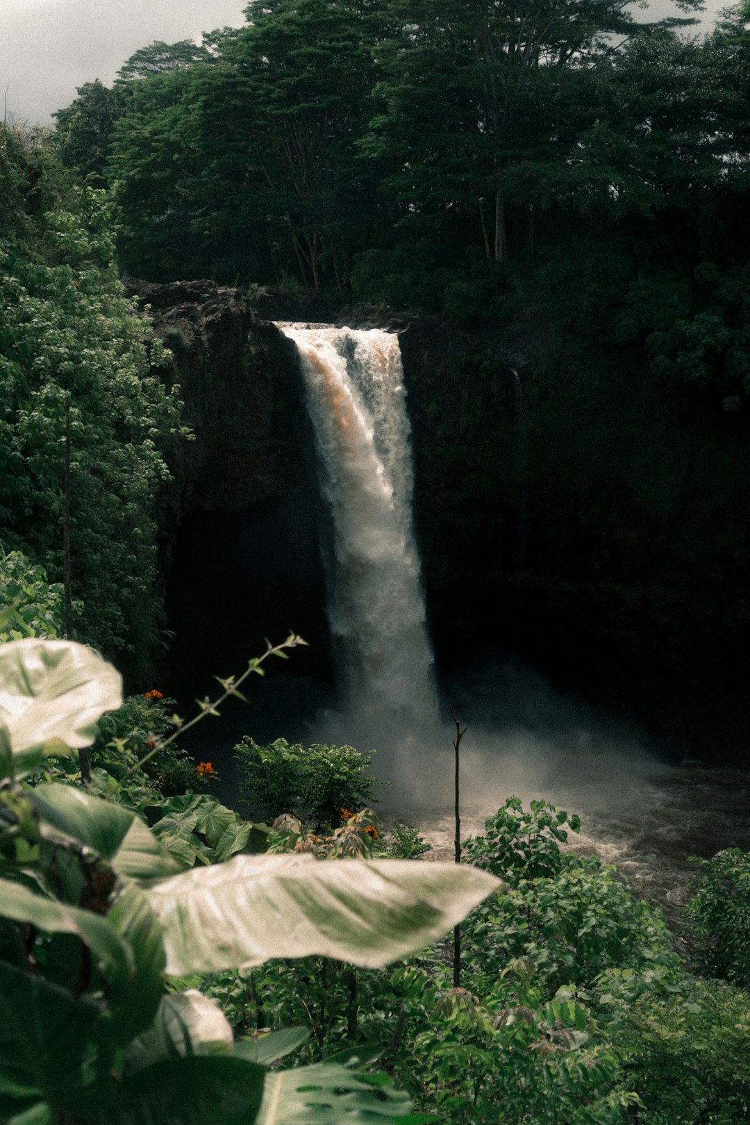Special Interest Tours